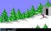 The Games : Winter Editon - Amiga