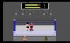 Title Match Pro Wrestling  - Atari 2600