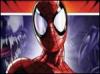 Ultimate Spider-Man - DS