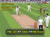 Brian Lara Cricket '96 - Master System