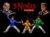 3 Ninjas Kick Back / Hook  - Mega-CD - Sega CD