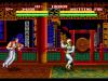 Art Of Fighting - Mega Drive - Genesis