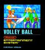 Volleyball - NES - Famicom