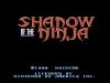 Shadow Of The NInja - NES - Famicom