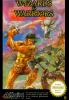 Wizards & Warriors - NES - Famicom