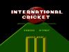 International Cricket - NES - Famicom