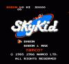 Sky Kid - NES - Famicom