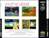 Raguy - Neo Geo-CD