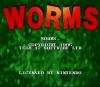 Worms - SNES
