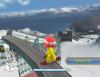 Family Ski & Snowboard - Wii