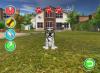 Puppy Luv : Votre Nouvel Ami - Wii