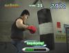 Ready 2 Rumble Revolution - Wii