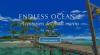 Endless Ocean 2 : Aventuriers des Fonds Marins - Wii