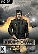 Pilot Down : Behind Enemy Lines