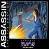 Assassin : Special Edition - Amiga