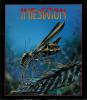 Infestation - Amiga