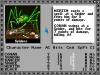 The Bard's Tale - Amiga