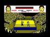 Thai Boxing - The Micro Selection - Amstrad-CPC 464