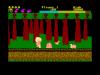 Wonder Boy - Amstrad-CPC 464