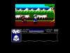 Samurai Warrior : The Battles Of ... Usagi Yojimbo  - Amstrad-CPC 464
