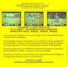 Bob Winner - Atari ST