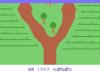 Chuck Norris Superkicks - Colecovision