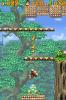Donkey Kong Jungle Climber - DS