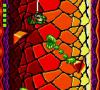 Battletoads - Game Gear
