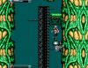 Wolfchild - Master System
