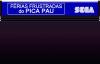 Férias Frustradas do Pica-Pau - Brésil - Master System
