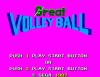 Great Volleyball - Europe - Master System