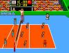 Great Volleyball - Europe - Master System