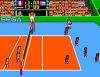 Great Volleyball - Europe - Master System