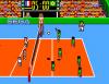 Great Volleyball - Usa - Master System