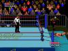 WWF Super WrestleMania - Mega Drive - Genesis