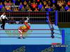 WWF Super WrestleMania - Mega Drive - Genesis