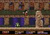 The Disney Collection : Quackshot & Castle of Illusion - Mega Drive - Genesis