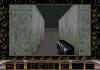 Duke Nukem : 3D - Mega Drive - Genesis