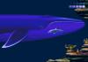 Ecco : The Dolphin II  - Mega Drive - Genesis