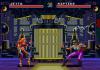 Eternal Champions : Challenge from the Dark Side - Mega-CD - Sega CD