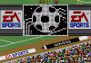 FIFA : International Soccer - Championship Edition - Mega-CD - Sega CD