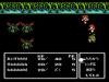 Final Fantasy I-II - NES - Famicom
