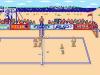 Kings Of The Beach : Professional Beach Volleyball - NES - Famicom