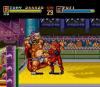 Crest of Wolf - PC-Engine CD Rom