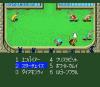 Wallaby ! !  Usagi no Kuni no Kangaroo Race - PC-Engine Hu-Card