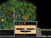 Age Of Wonders : Shadow Magic - PC