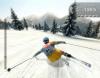 Alpine Ski Racing 2007 - PC
