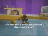Garfield - PS2