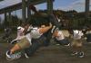 NFL Street 3 - PS2