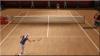 Smash Court Tennis 3 - PSP